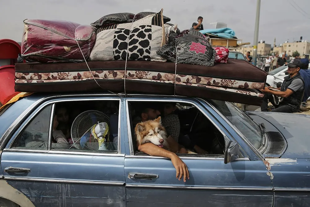| Photo: AP/Jehad Alshrafi : Palestinians flee from Rafah